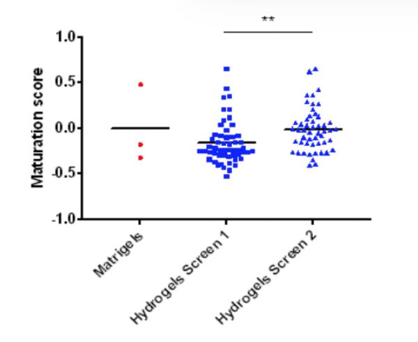 Improvement in CM maturation in PEG hydrogel formulations identified from a full-factorial experiment (screen 1) vs the Bayesian optimization model