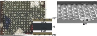 Depiction of the pressure sensing array that is inserted into a shoe to measure mobility.