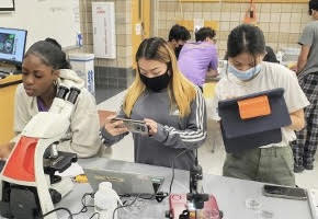 High school interns Jazmin Bartuah, Evangelina Yang, and Ah Kuh Shwe working on a zebra fish lab experiment during the two-week high school STEM program.