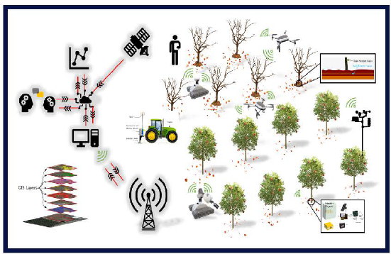 A graphic overview of the IoT4Ag orchard model.