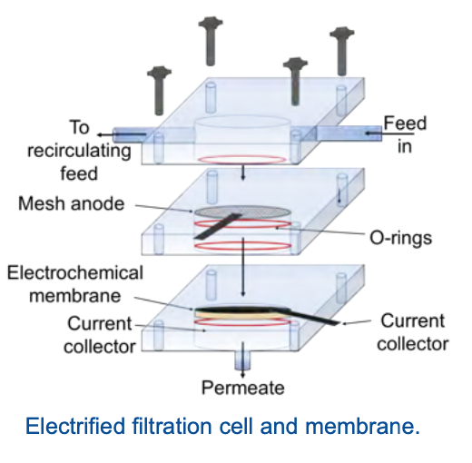 NEWT's design for an electrified membrane (EM) capable of nitrate reduction.