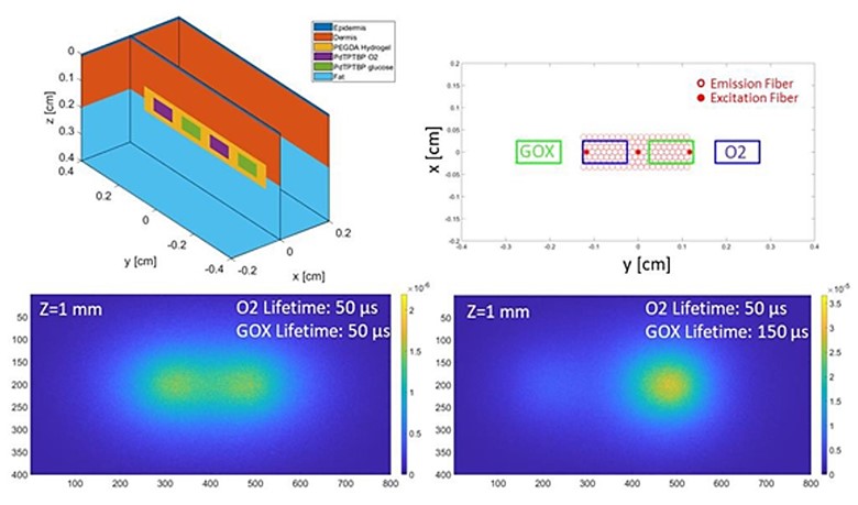 Monte-Carlo simulations for optimizing the array structure of the lens-less optical reader instrumentation to interrogate the implanted sensors. (Top) Schematic of the barcoded oxygen/glucose sensor (