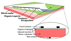 Schematicofthehybridorganic/siliconsolar cell.