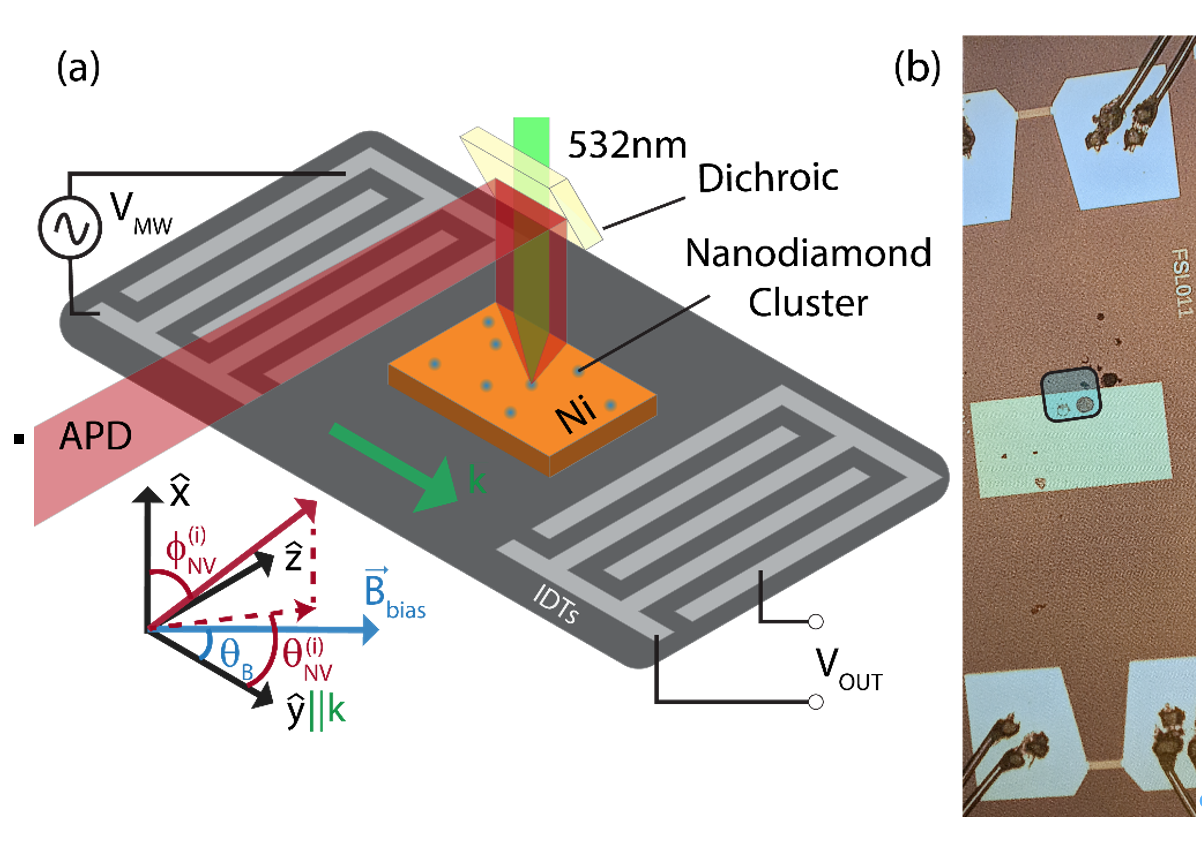 Figure 1: Structure of the device. (a) Diagram of the overall structure. Pulsed green laser excites red NV –center fluorescence, sensed by a photodiode. Acoustic waves travel through the Ni film, mo