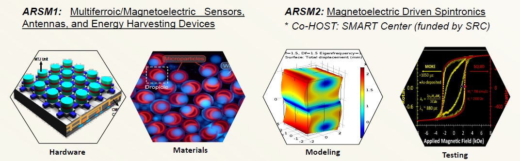 Figure. Focus topics for TANMS' 2021 ARSM symposia.