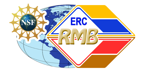 RMB Logo